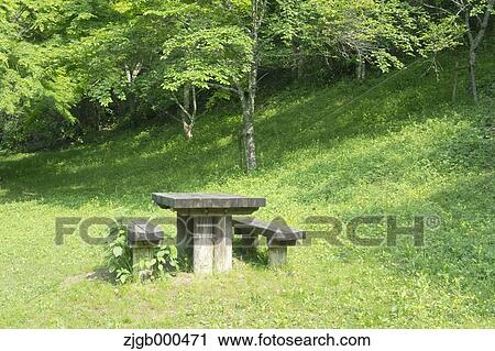 Table and benches in the woods View Large Photo Image Stock Image - Table and benches in the woods. Fotosearch