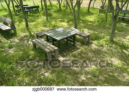 Stock Photo - Table and benches in the woods. Fotosearch