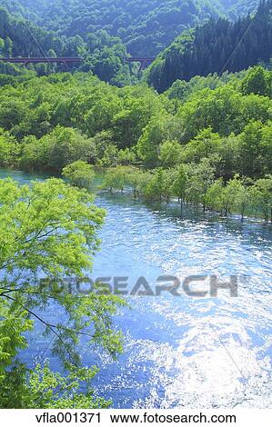 Tama river, Akita Prefecture View Large Photo Image Stock Image - Tama river, Akita Prefecture. Fotosearch