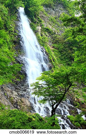 Stock Photo - Ten waterfall, Hyogo Prefecture. Fotosearch