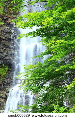 Ten waterfall, Hyogo Prefecture View Large Photo Image Stock Photo - Ten waterfall, Hyogo Prefecture. Fotosearch