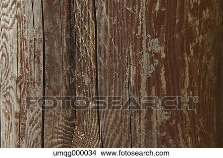 Tree bark View Large Photo Image Picture - Tree bark. Fotosearch
