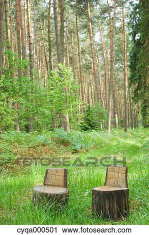 Stock Image - Tree chairs. Fotosearch