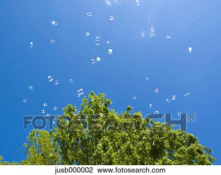 Stock Image - Tree, soap bubbles and blue sky. Fotosearch