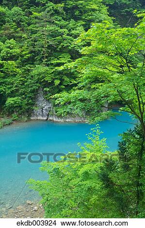 Trees and water stream, Akita Prefecture View Large Photo Image Picture - Trees and water stream, Akita Prefecture. Fotosearch