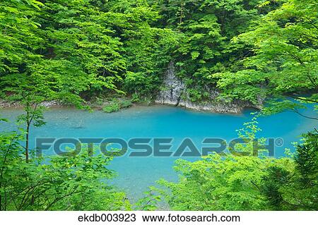 Trees and water stream, Akita Prefecture View Large Photo Image Stock Image - Trees and water stream, Akita Prefecture. Fotosearch
