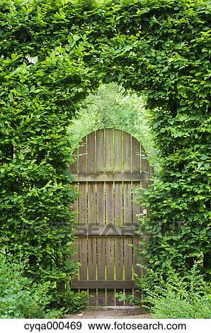 Trees and wooden door View Large Photo Image Stock Photo - Trees and wooden door. Fotosearch