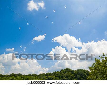 Trees, soap bubbles and sky View Large Photo Image Stock Image - Trees, soap bubbles and sky. Fotosearch