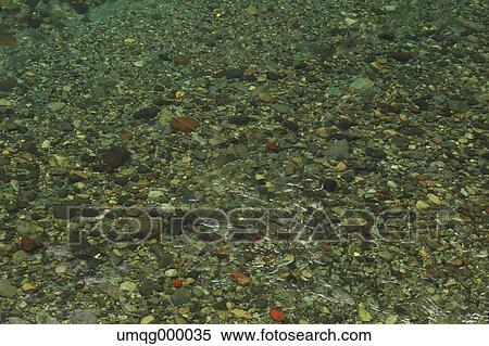 Stock Photography - Water. Fotosearch