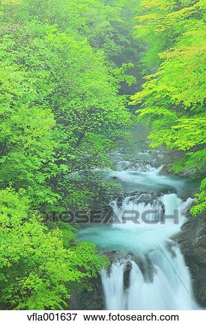 Water stream and waterfall, Miyagi Prefecture View Large Photo Image Stock Photo - Water stream and waterfall, Miyagi Prefecture. Fotosearch