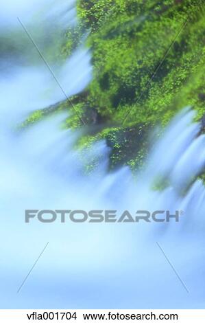 Water stream View Large Photo Image Picture - Water stream. Fotosearch