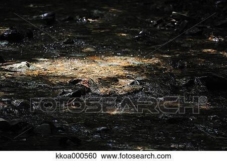 Stock Image - Water stream. Fotosearch