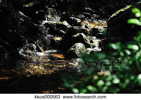 Stock Image - Water stream. Fotosearch