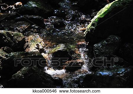 Stock Photograph - Water stream. Fotosearch