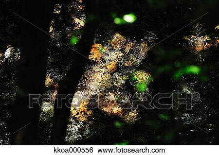 Stock Photograph - Water stream. Fotosearch