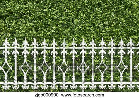 White fence View Large Photo Image Stock Image - White fence. Fotosearch