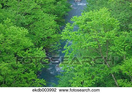 Stock Image - Biei river, Hokkaido. Fotosearch