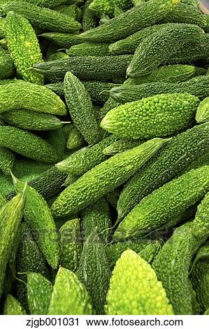 Bitter melon View Large Photo Image Stock Image - Bitter melon. Fotosearch