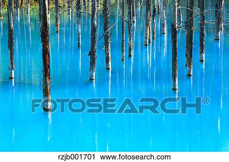 Blue pond, Hokkaido View Large Photo Image Stock Image - Blue pond, Hokkaido. Fotosearch
