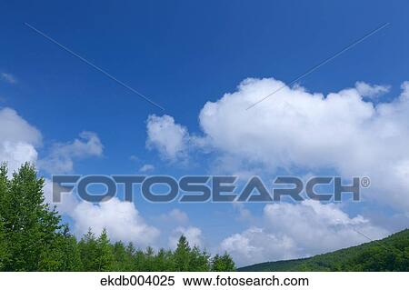Blue sky and clouds, Hokkaido View Large Photo Image Stock Photography - Blue sky and clouds, Hokkaido. Fotosearch