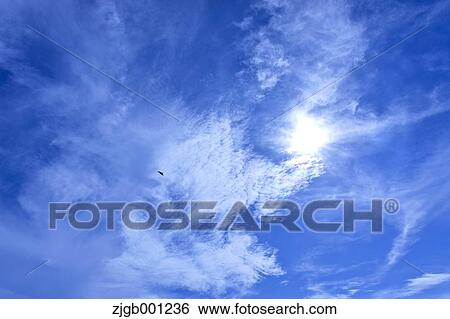 Blue sky with clouds View Large Photo Image Stock Photograph - Blue sky with clouds. Fotosearch