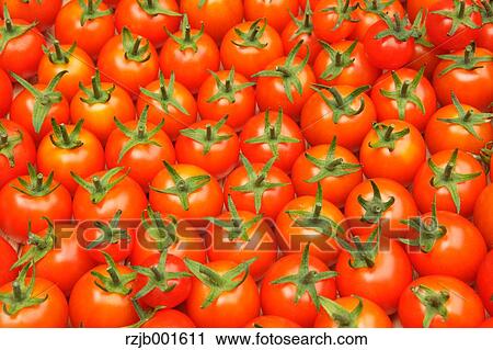 Cherry tomatoes View Large Photo Image Stock Image - Cherry tomatoes. Fotosearch