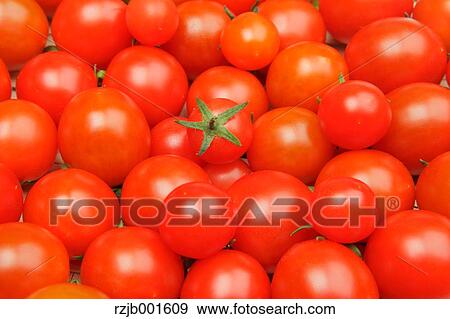 Stock Photo - Cherry tomatoes. Fotosearch