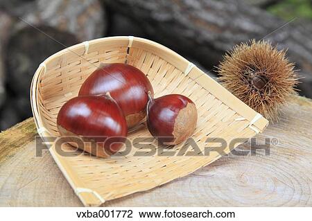 Stock Image - Chestnuts on tree stump. Fotosearch