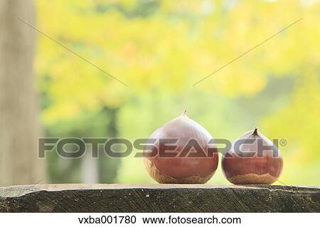 Chestnuts on wooden table View Large Photo Image Stock Image - Chestnuts on wooden table. Fotosearch