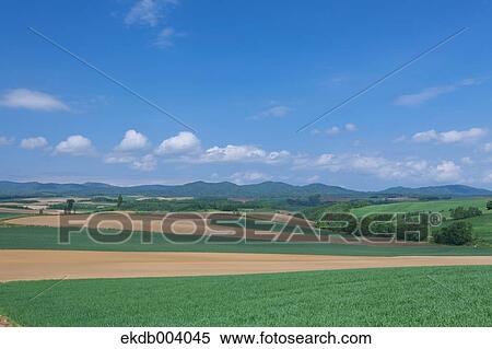 Countryside and sky, Hokkaido View Large Photo Image Stock Photography - Countryside and sky, Hokkaido. Fotosearch