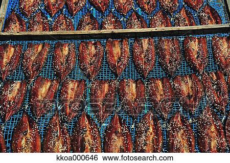 Stock Photograph - Fish drying under the sun. Fotosearch