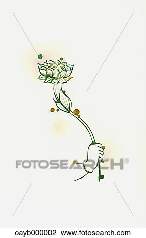 Flower illustration View Large Photo Image Stock Image - Flower illustration. Fotosearch