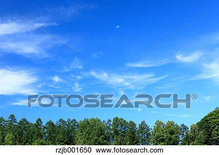 Grassland and sky, Hokkaido View Large Photo Image Stock Image - Grassland and sky, Hokkaido. Fotosearch