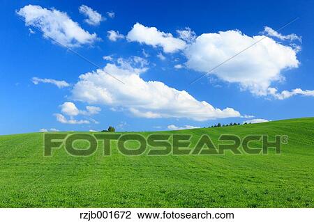 Grassland and sky, Hokkaido View Large Photo Image Stock Image - Grassland and sky, Hokkaido. Fotosearch