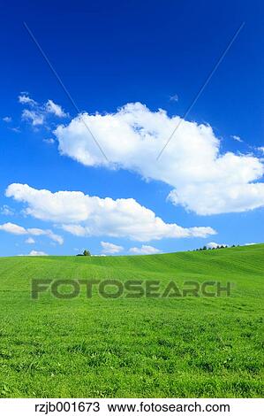 Grassland and sky, Hokkaido View Large Photo Image Stock Image - Grassland and sky, Hokkaido. Fotosearch
