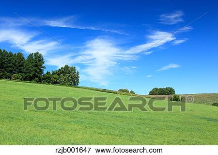 Grassland and sky, Hokkaido View Large Photo Image Stock Photo - Grassland and sky, Hokkaido. Fotosearch