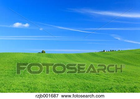 Grassland and sky, Hokkaido View Large Photo Image Stock Photo - Grassland and sky, Hokkaido. Fotosearch