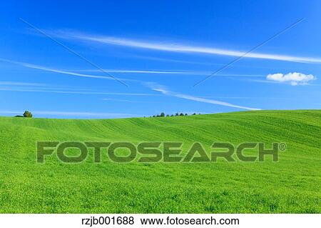 Grassland and sky, Hokkaido View Large Photo Image Stock Photo - Grassland and sky, Hokkaido. Fotosearch