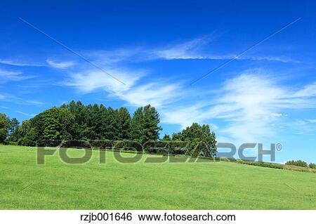 Stock Photograph - Grassland and sky, Hokkaido. Fotosearch