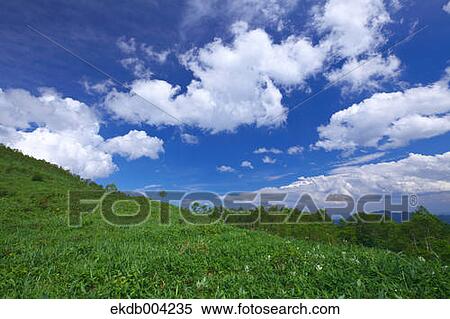 Grassland and sky with clouds View Large Photo Image Stock Photography - Grassland and sky with clouds. Fotosearch