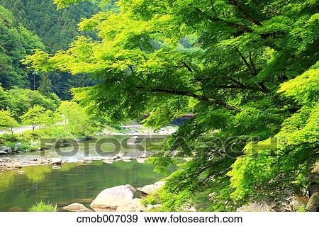 Greenery, Aichi Prefecture View Large Photo Image Stock Photo - Greenery, Aichi Prefecture. Fotosearch