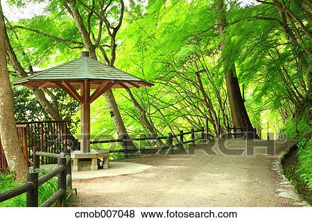 Greenery, Aichi Prefecture View Large Photo Image Stock Photo - Greenery, Aichi Prefecture. Fotosearch
