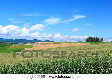 Hokkaido countryside View Large Photo Image Stock Image - Hokkaido countryside. Fotosearch
