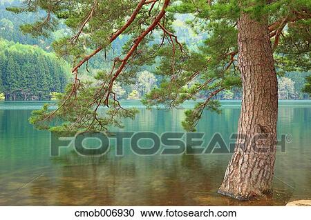 Lake Hokuryu, Nagano Prefecture View Large Photo Image Stock Image - Lake Hokuryu, Nagano Prefecture. Fotosearch