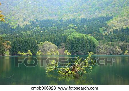 Lake Hokuryu, Nagano Prefecture View Large Photo Image Stock Photo - Lake Hokuryu, Nagano Prefecture. Fotosearch