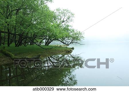Lakeside with fog, Tochigi Prefecture View Large Photo Image Stock Photo - Lakeside with fog, Tochigi Prefecture. Fotosearch