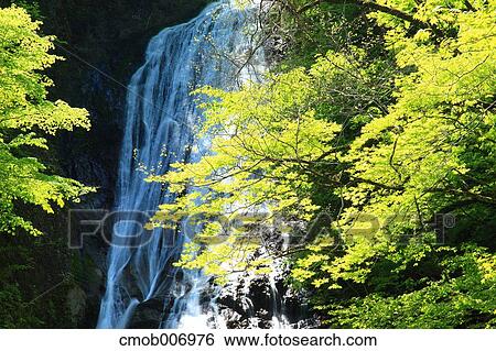 Marugami waterfall, Saitama Prefecture View Large Photo Image Stock Photograph - Marugami waterfall, Saitama Prefecture. Fotosearch