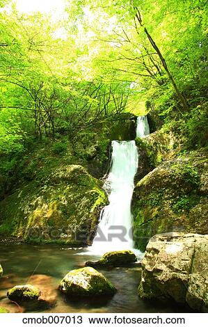 Mitugama waterfall, Tokyo View Large Photo Image Stock Image - Mitugama waterfall, Tokyo. Fotosearch