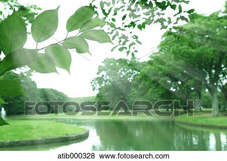 Stock Photo - Morning light in a park, Tokyo. Fotosearch