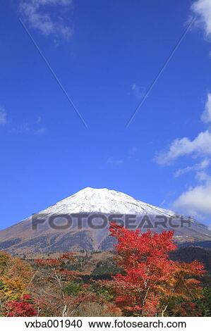 Mount Fuji and Autumn leaves, Shizuoka Prefecture View Large Photo Image Stock Image - Mount Fuji and Autumn leaves, Shizuoka Prefecture. Fotosearch